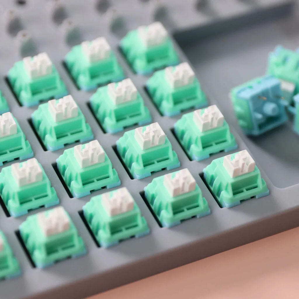 Dongsen Custom Mechanical Keyboard Linear Switches