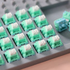 Dongsen Custom Mechanical Keyboard Linear Switches