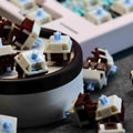 KSLAB x HMX Coconut Blue Latte Linear Switch